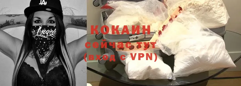 Cocaine Колумбийский  как найти   Дигора 